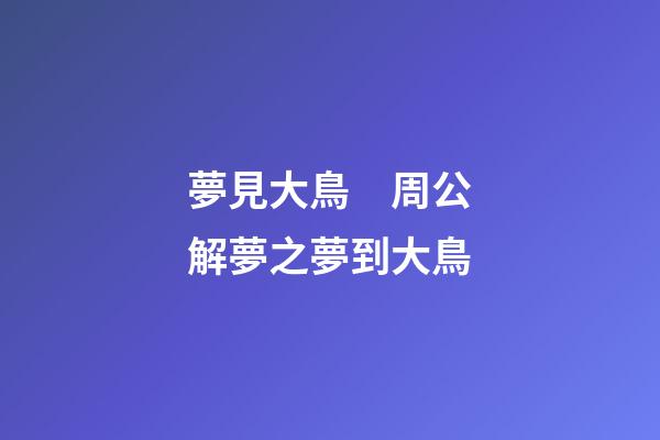 夢見大鳥　周公解夢之夢到大鳥
